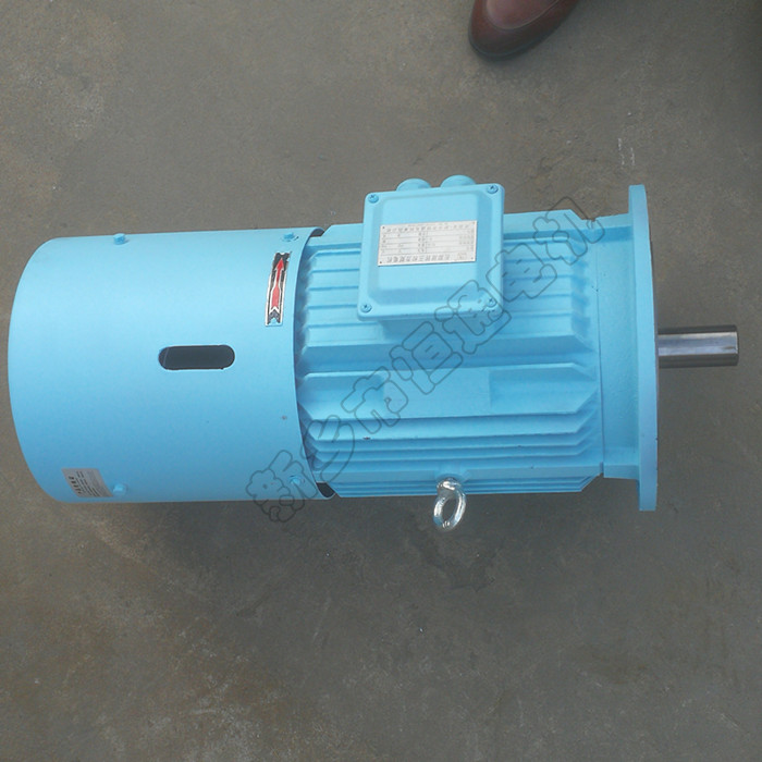 長期堵轉(zhuǎn)力矩電動機(jī)