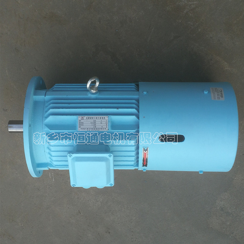 Long-term stall torque motor。